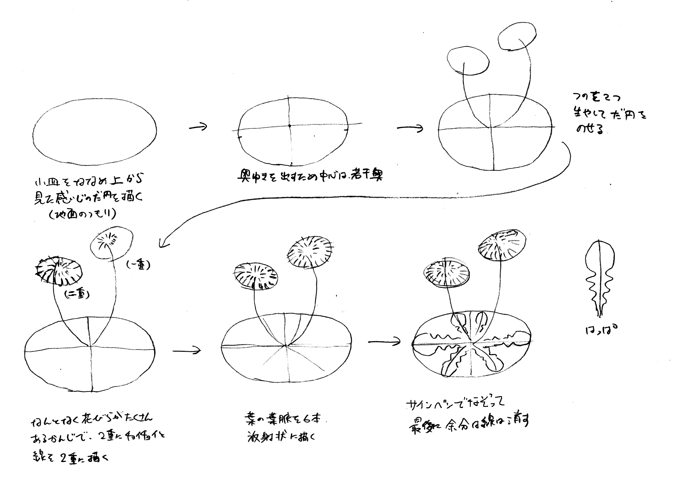 タンポポの描き方 三田巡朗のぐるっと廻って