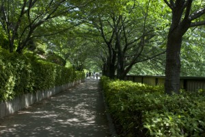 なかめ公園橋と中里橋の間の歩道